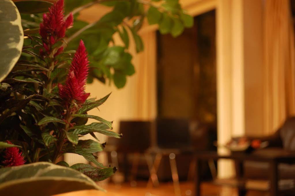 Hotel Platon Атина Екстериор снимка